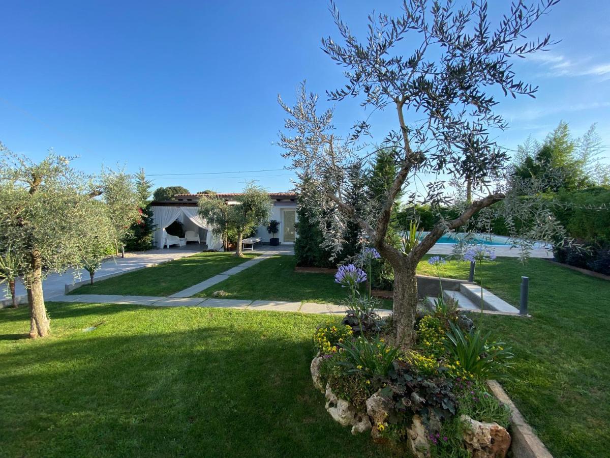 Mincio Relais Bed & Breakfast Castelnuovo del Garda Exterior photo